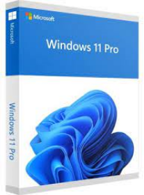 Picture of Microsoft Windows 11 Pro 64bit FQC-10528