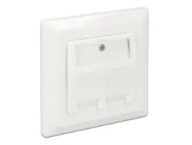 Picture of Delock 86202 Keystone Wall Outlet 2 port